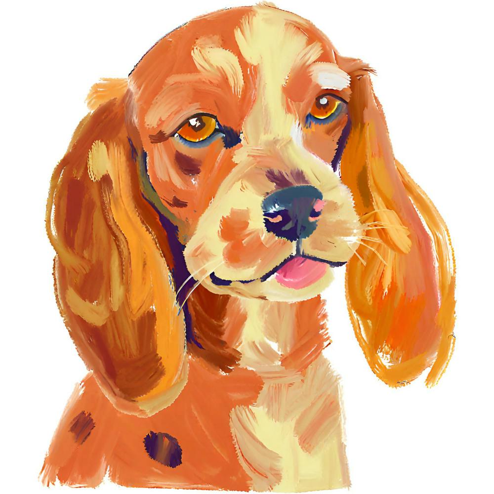 Cocker Spaniel 04
