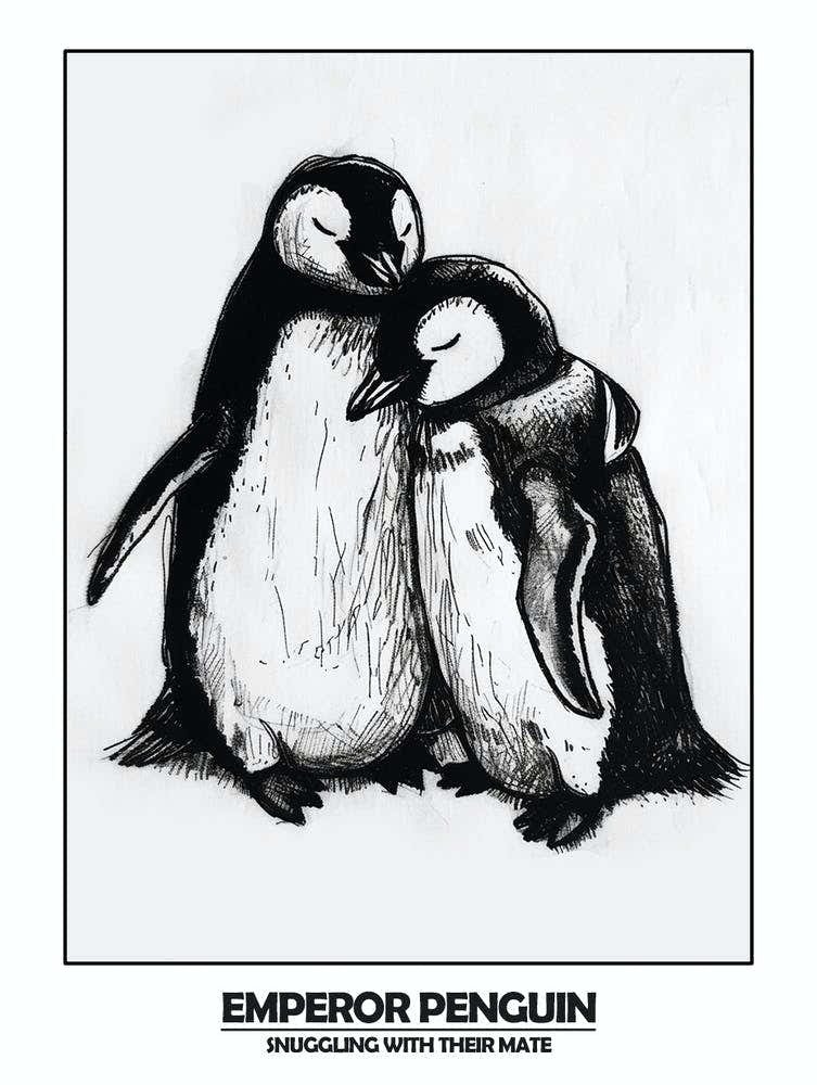 Penguin Snuggling With Their Mate Poster 1
