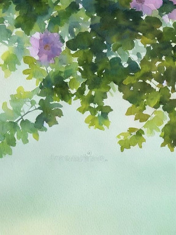 Favites Ii Storybook Watercolour