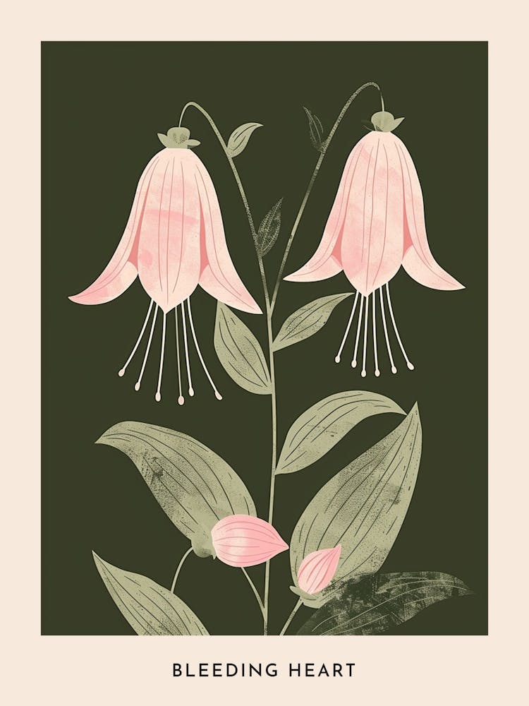 Pink & Green Bleeding Heart 1 Flower Poster