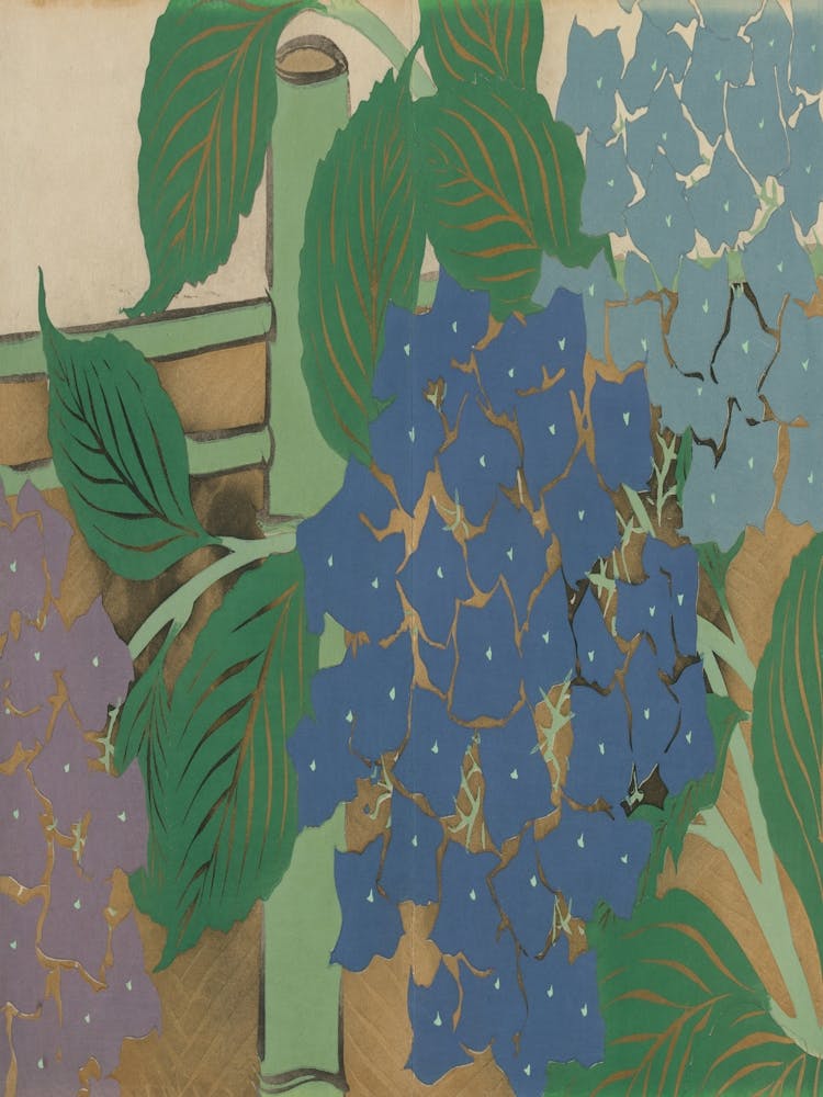Hydrangeas