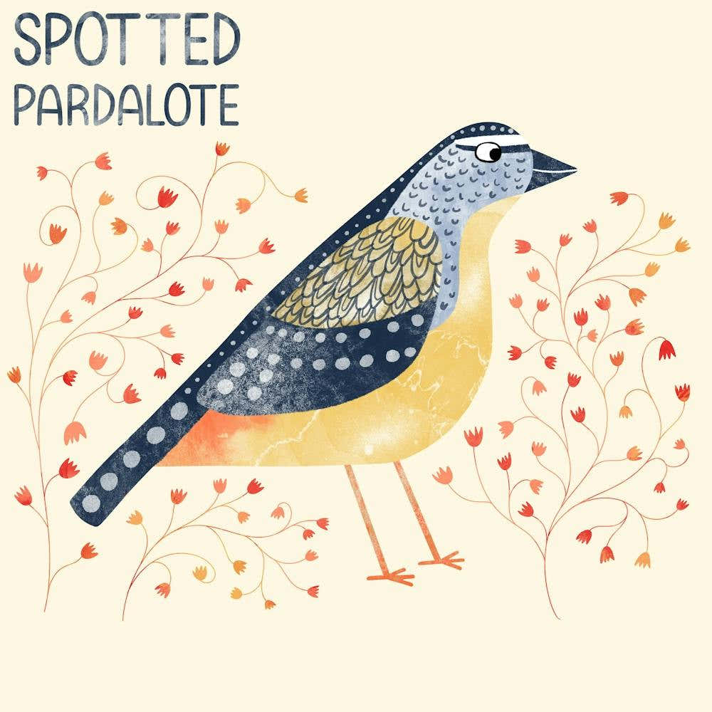 Spotted Pardalote Bird