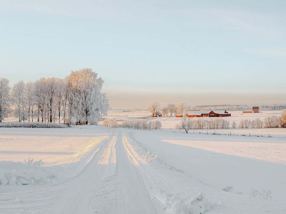 Sunny Winter Farmstead