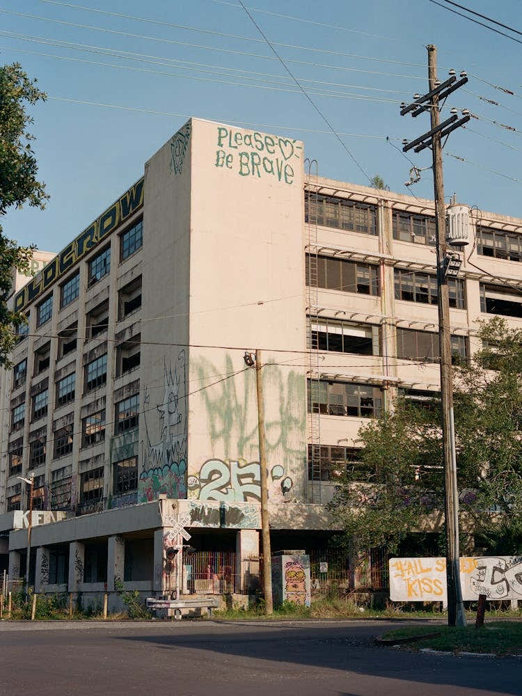 New Orleans Street Art on Film