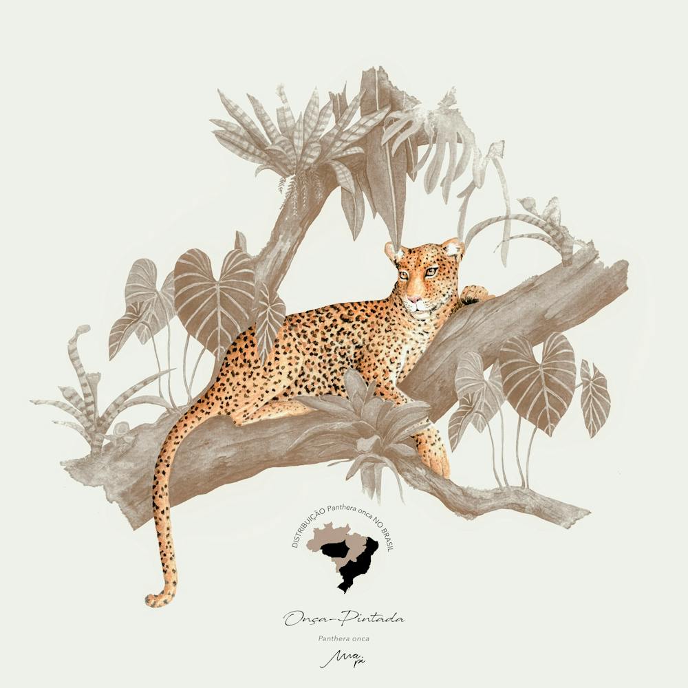 Onça Pintada