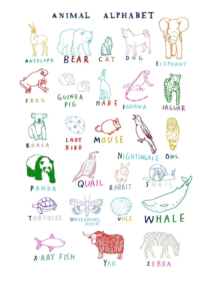 Animal Alphabet