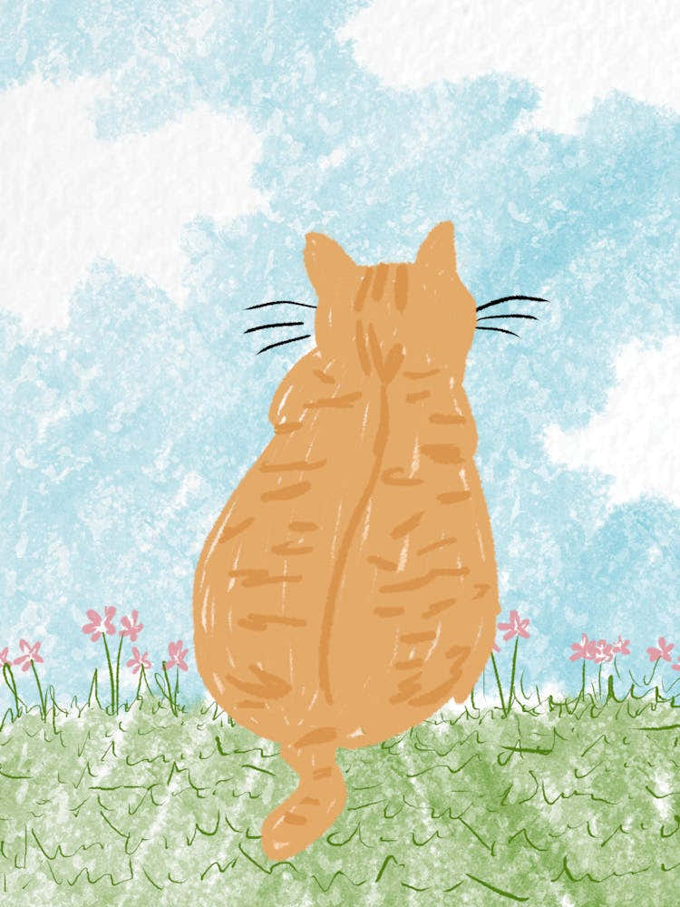 Orange Cat In The Meadow