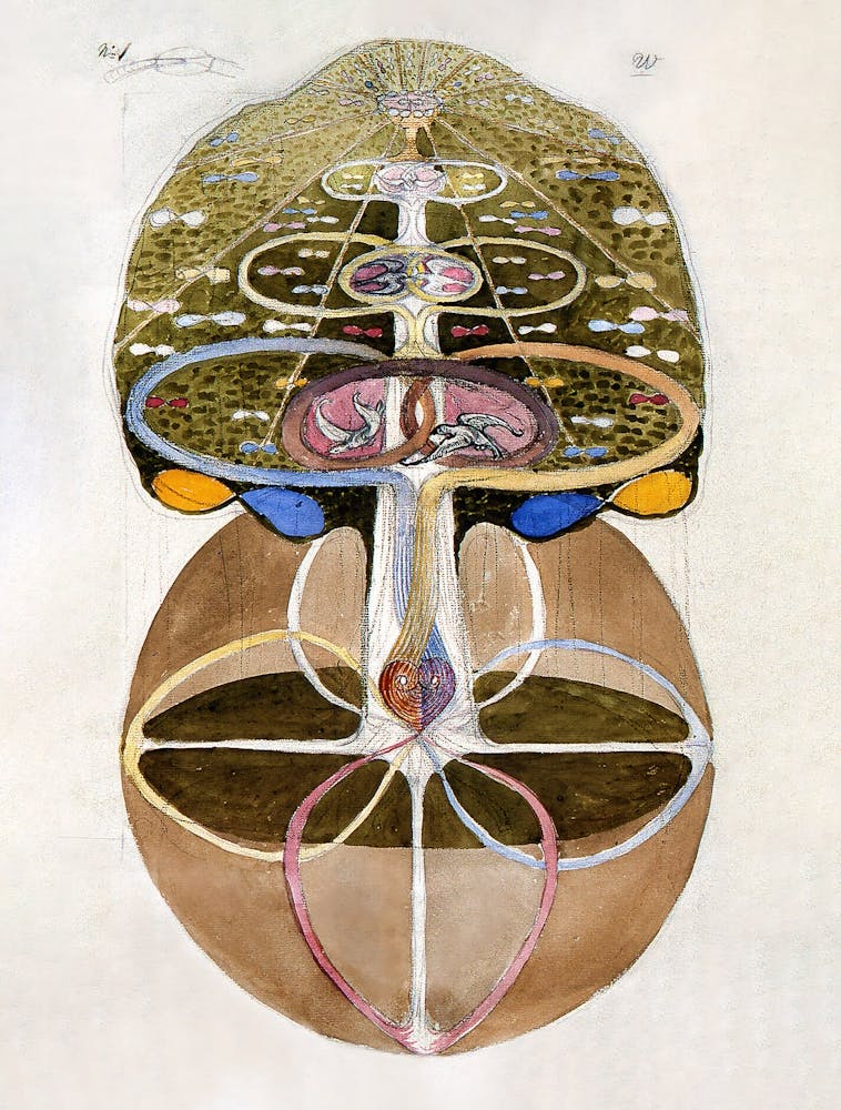 Hilma Af Klint 21