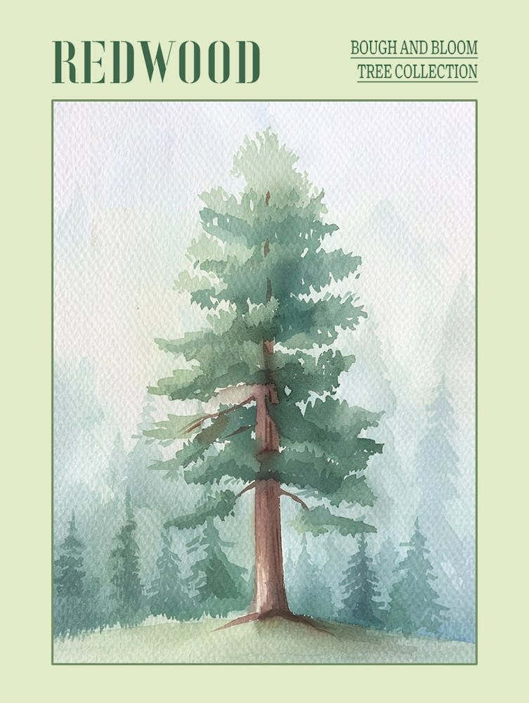 Redwood Tree Atmospheric Watercolour Painting 4 Poster