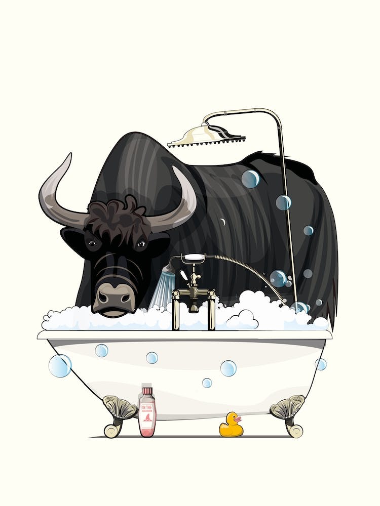 Yak In The Bath