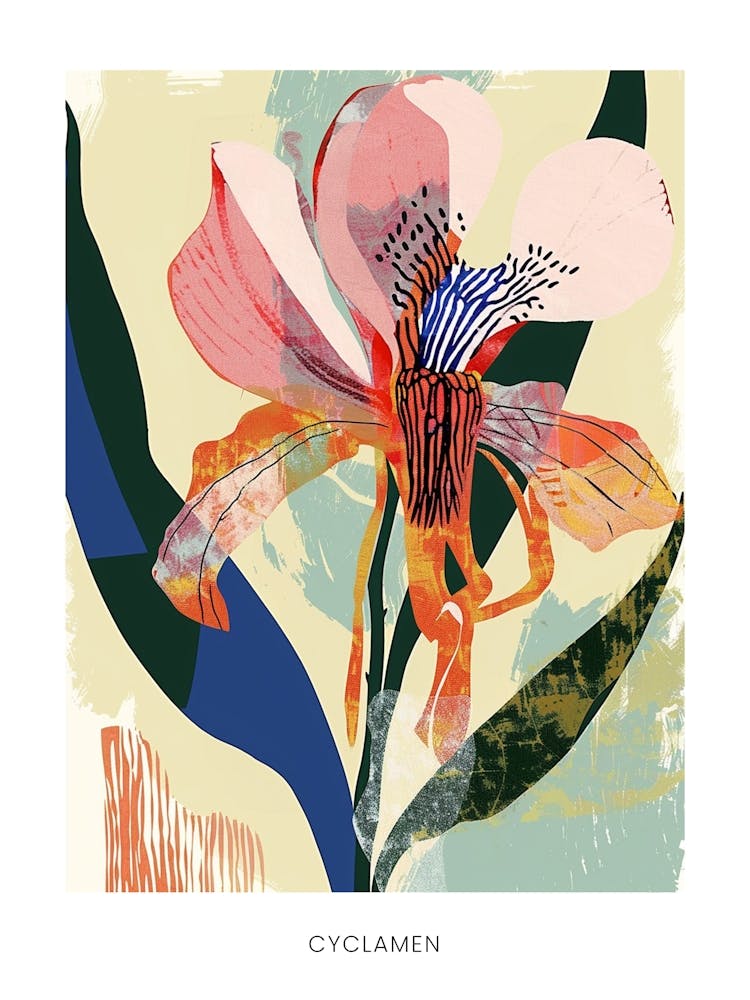 Colourful Flower Illustration Poster Cyclamen 2