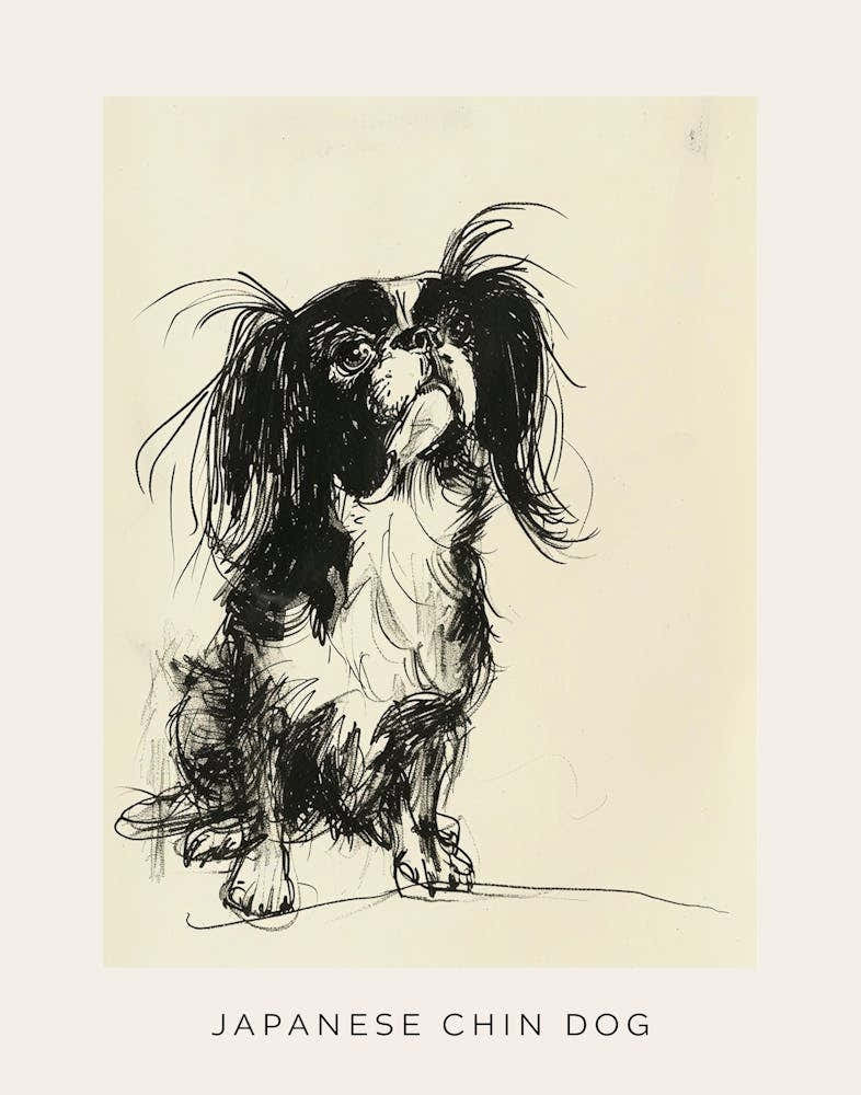 Japanese Chin Line Sketch 1 Poster