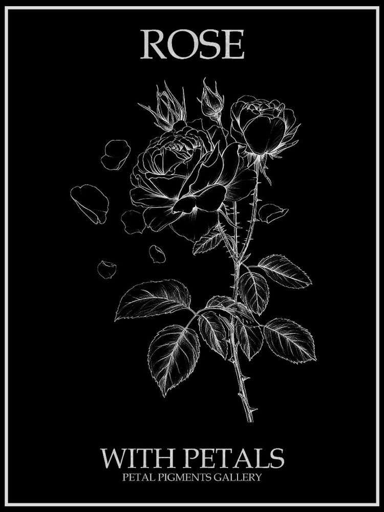 Rose With Petals Line Drawing 2 Poster Inverted