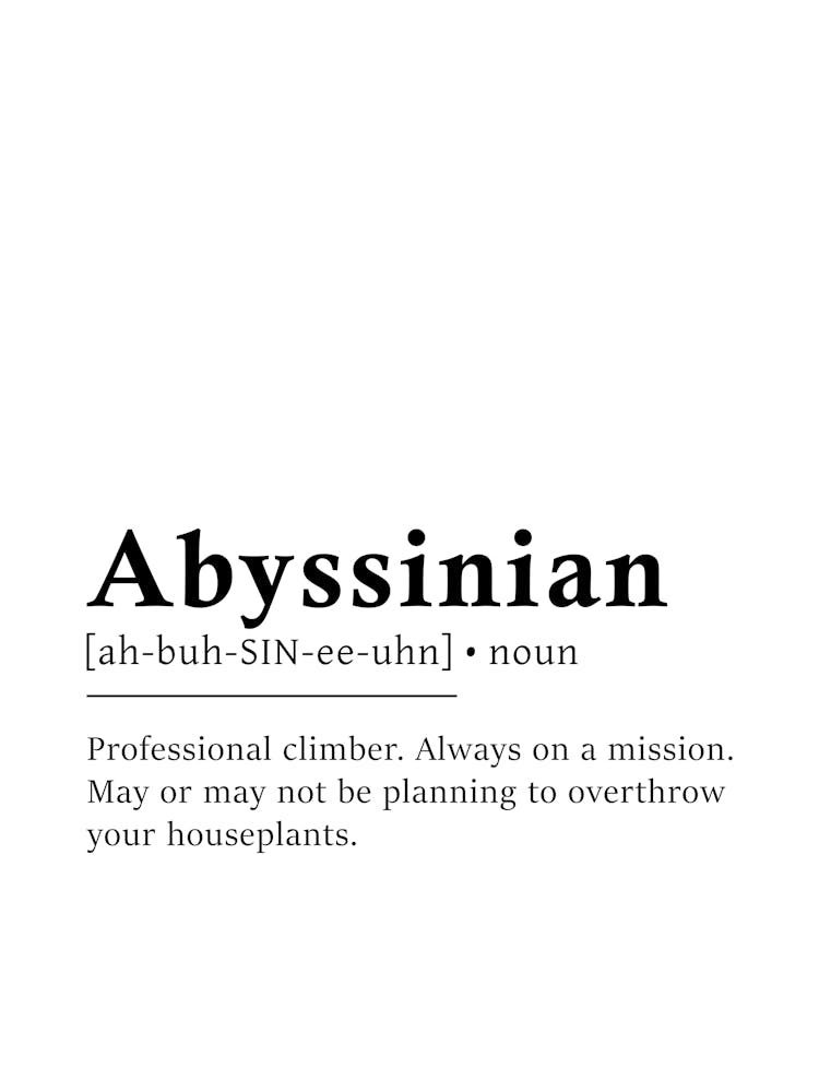 Abyssinian Definition Poster - Dictionary