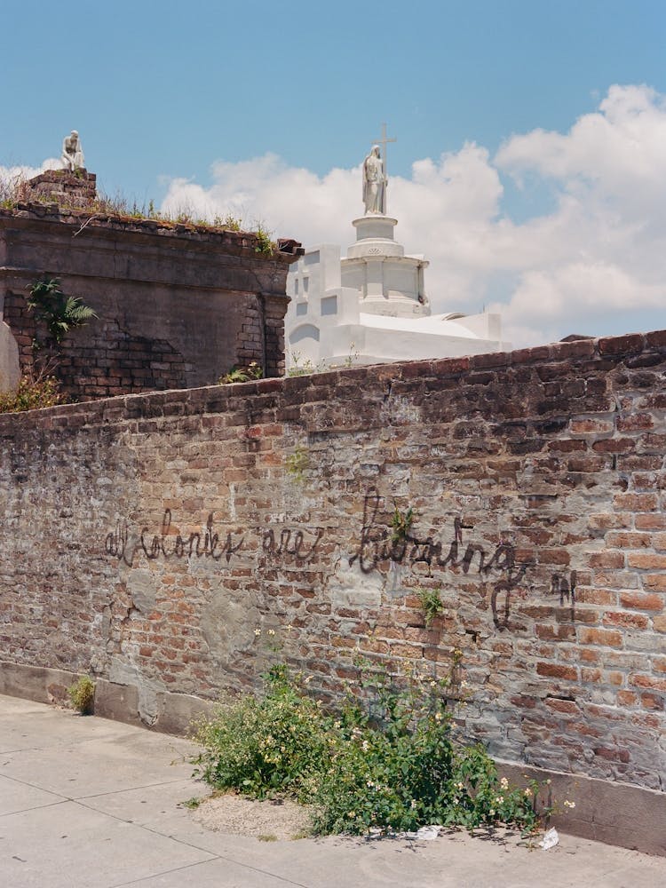 New Orleans Street Art V on Film