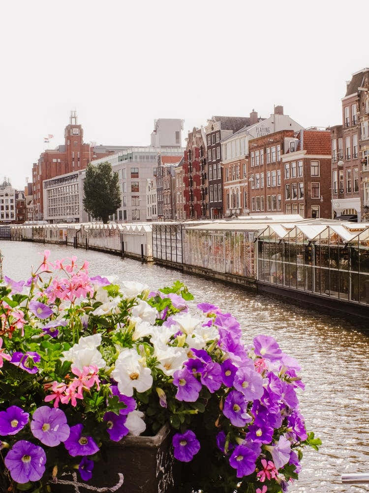 Flower Market In Amsterdam, Travel