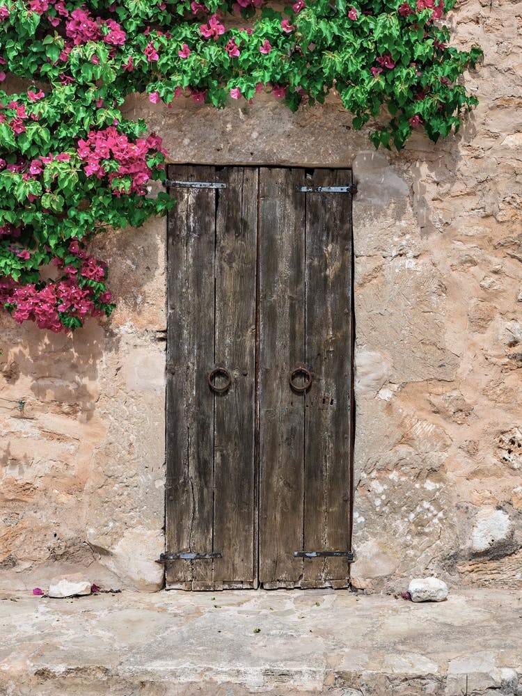 Old Wooden Door Wall Flowers