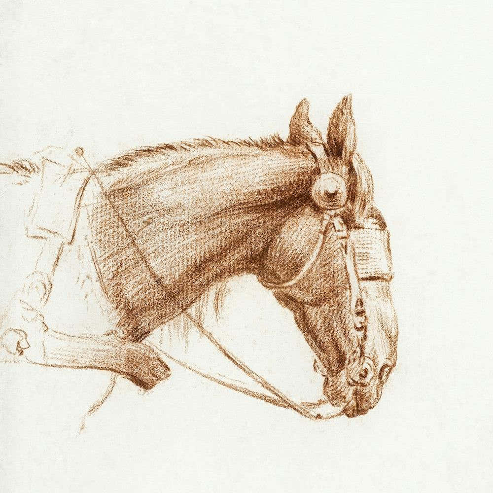 Head Of A Horse With Blinkers 2, Jean Bernard