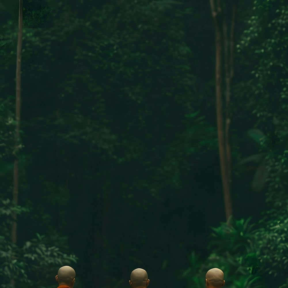 Monks In The Forest 3