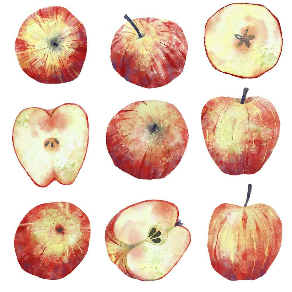 Red Apples Watercolor Painting