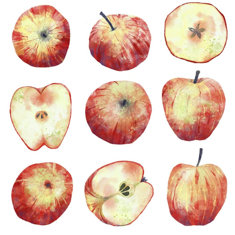 Red Apples Watercolor Painting