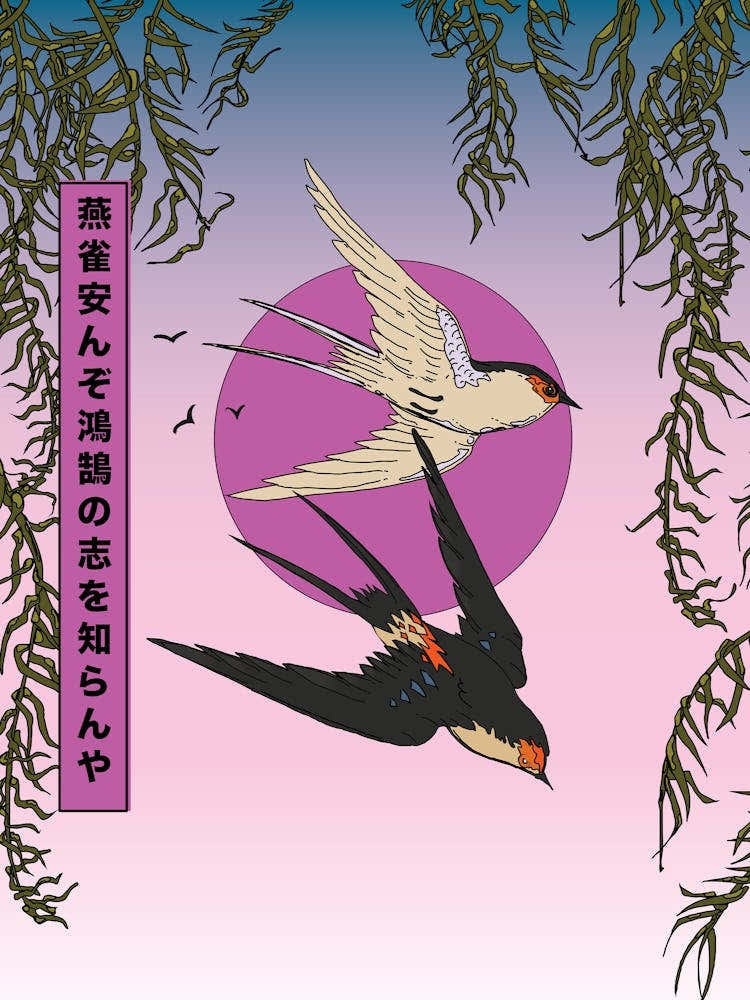 Swallows In Flight How Can A Sparrow Know The Aspirations Of A Swan