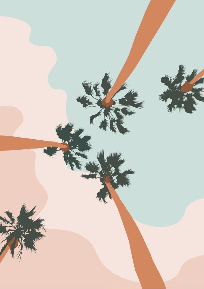 Palm Trees In The Summer Sky