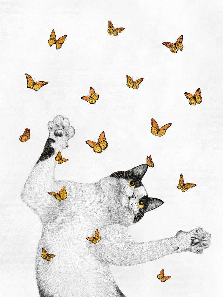 Flight Of The Inner Butterflies