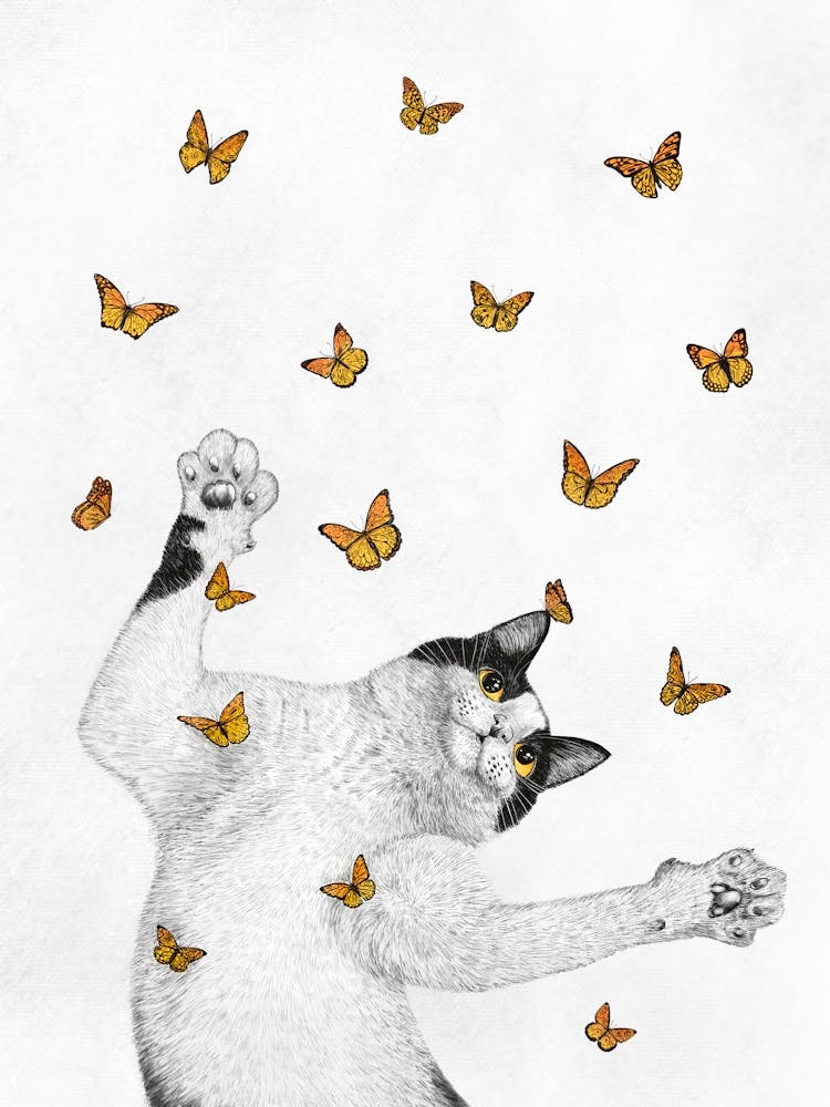 Flight Of The Inner Butterflies