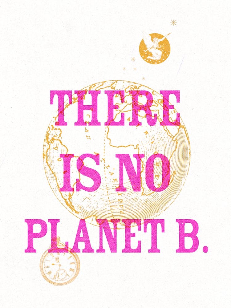 There Is No Planet B Vintage Style Pink & Orange