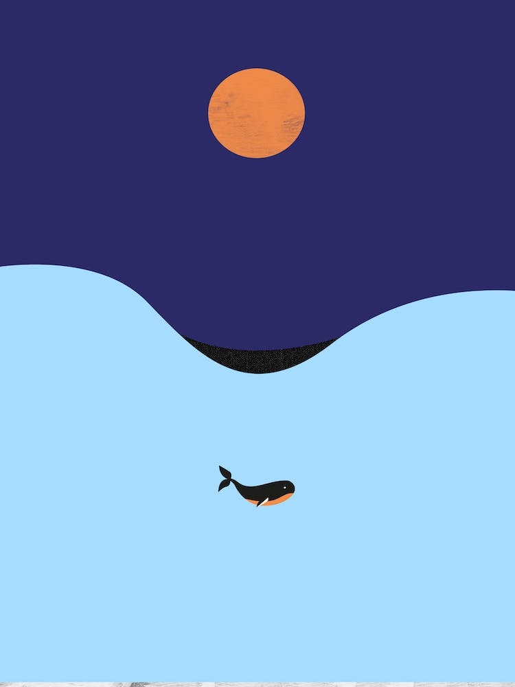 Whale