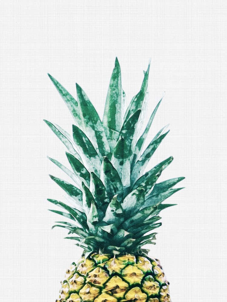 Pineapple I