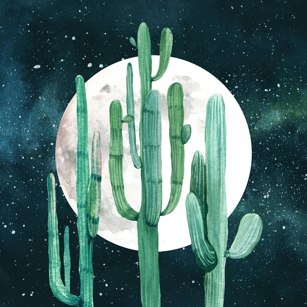 Cactus Nights Watercolor Painting