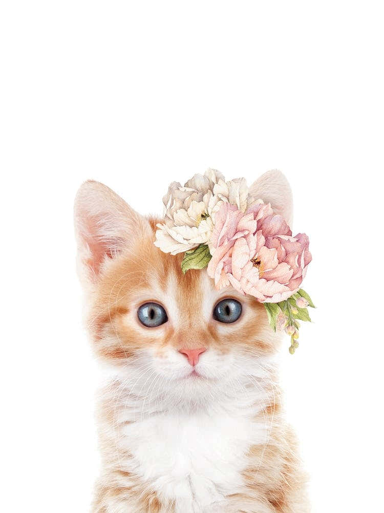 Peekaboo Floral Ginger Kitten