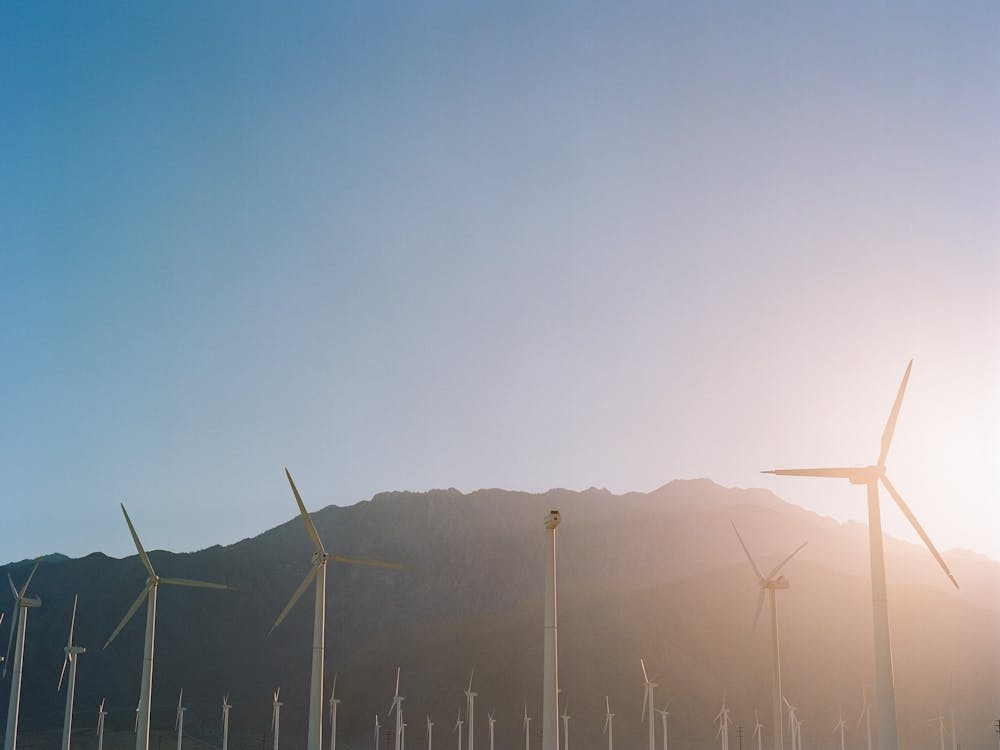 Palm Springs Windmills on Film