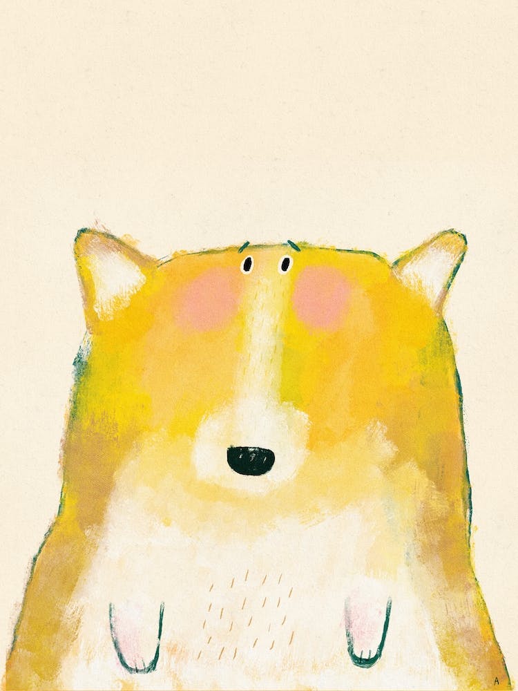 Worried Corgi