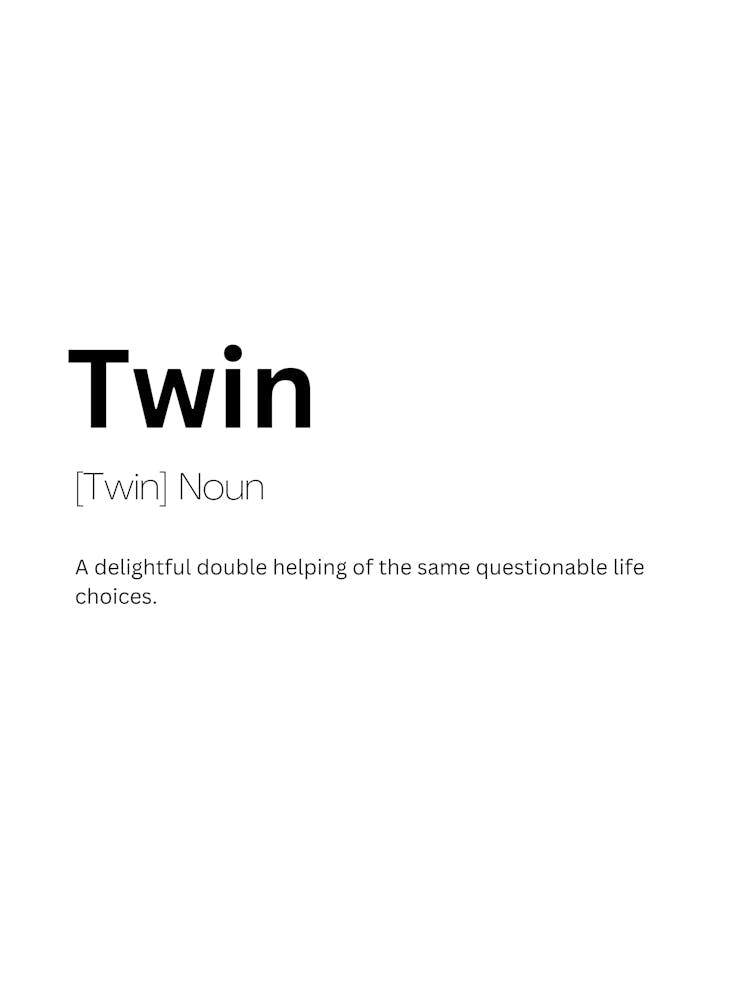 Twin Definition Meaning