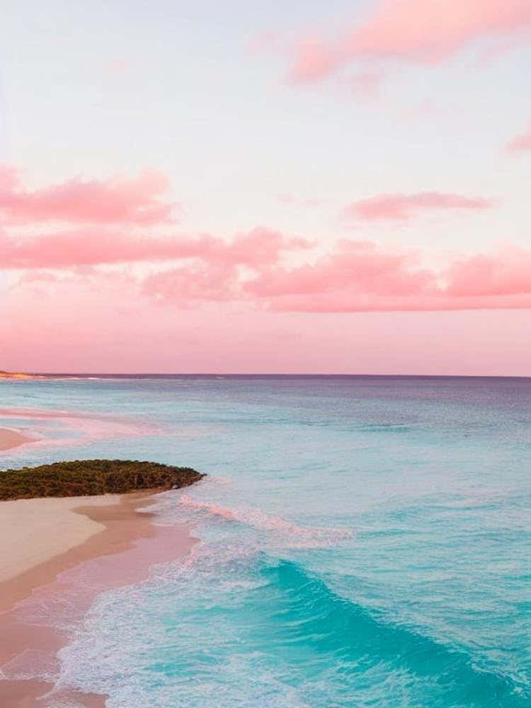 Shoal Bay East, Anguilla Pink Photography