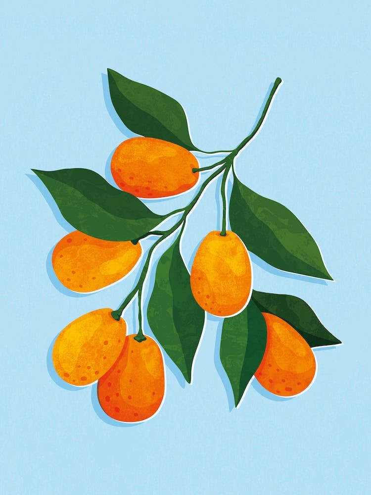 Kumquat