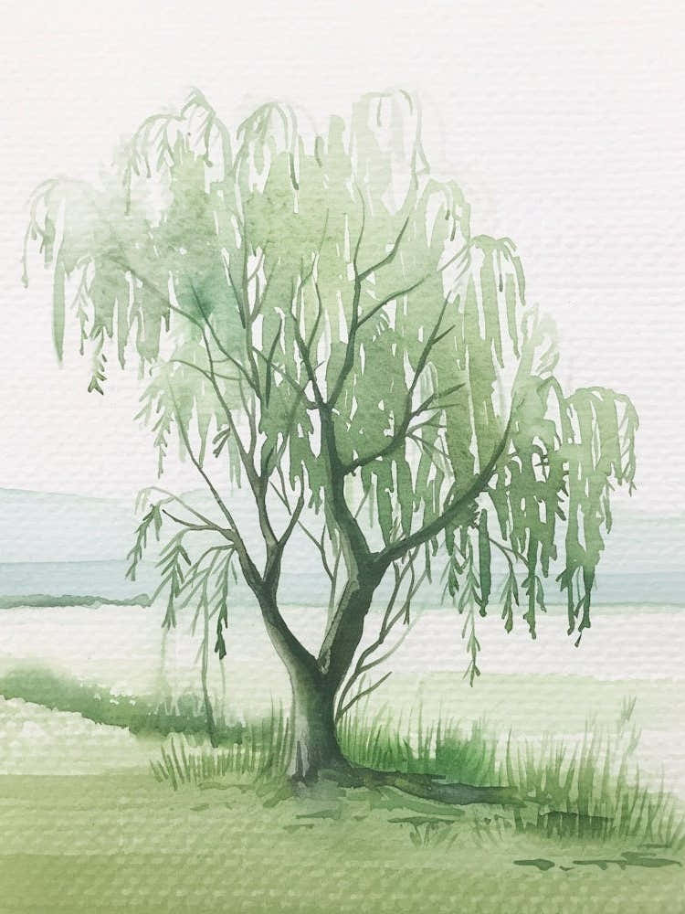 Willow Tree Atmospheric Watercolour Painting 3