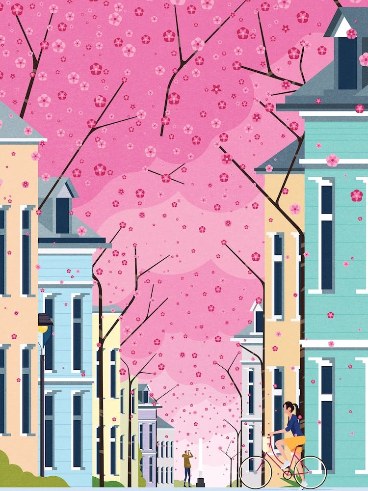 Altstadtbonn Ft.Cyclist