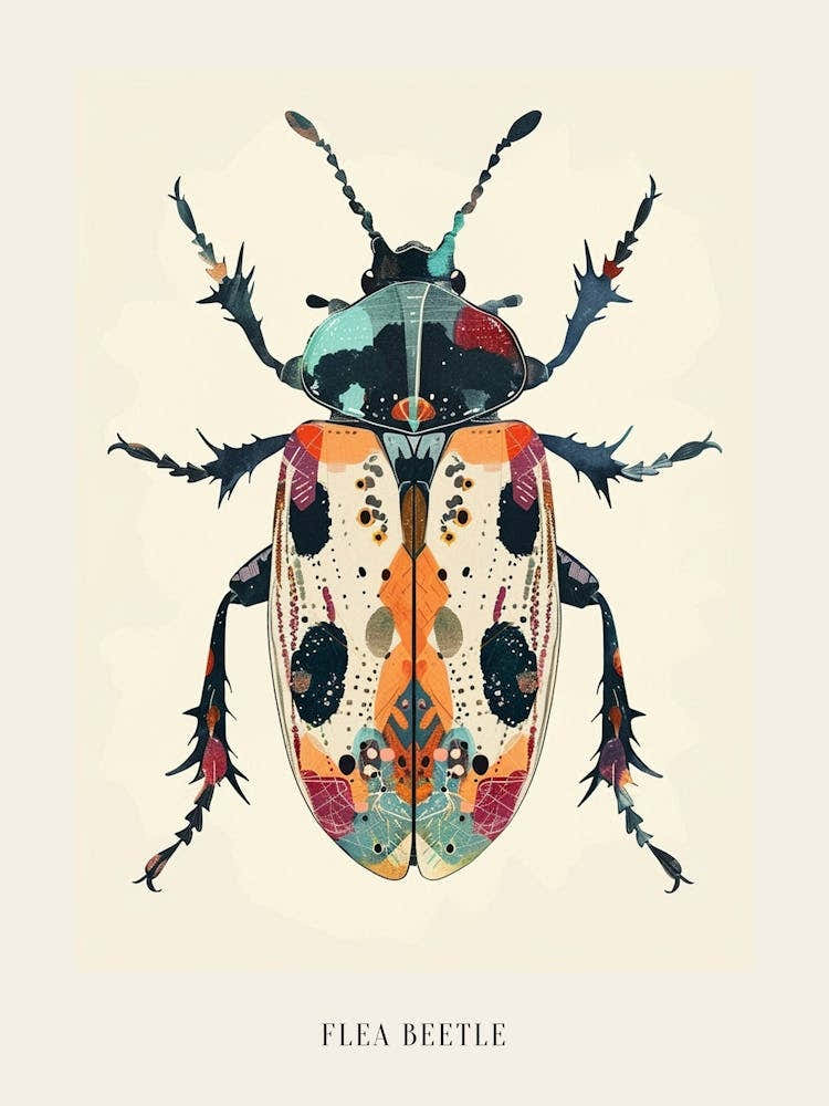 Colourful Insect Illustration Flea Beetle 12 Poster
