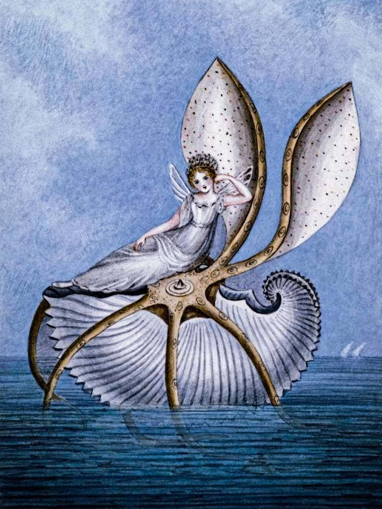 Amelia Jane Murrey "A Fairy Resting On a Shell" 1800s Victorian Fairies in HD