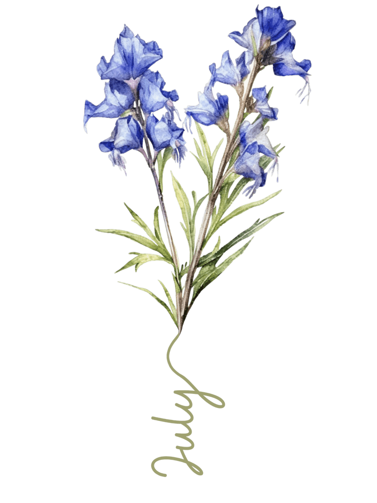 July Birth Flower Birth Month Botanical