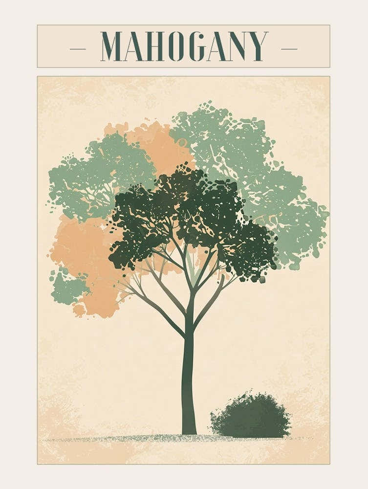 Mahogany Tree Minimal Japandi Illustration 2 Poster