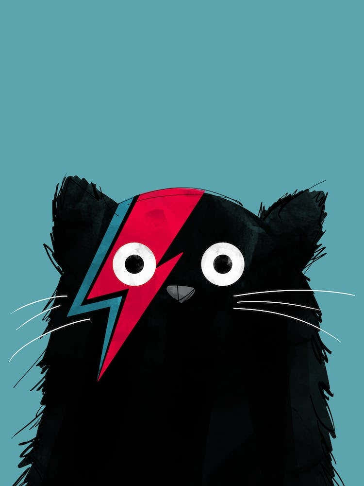 Cat Bowie