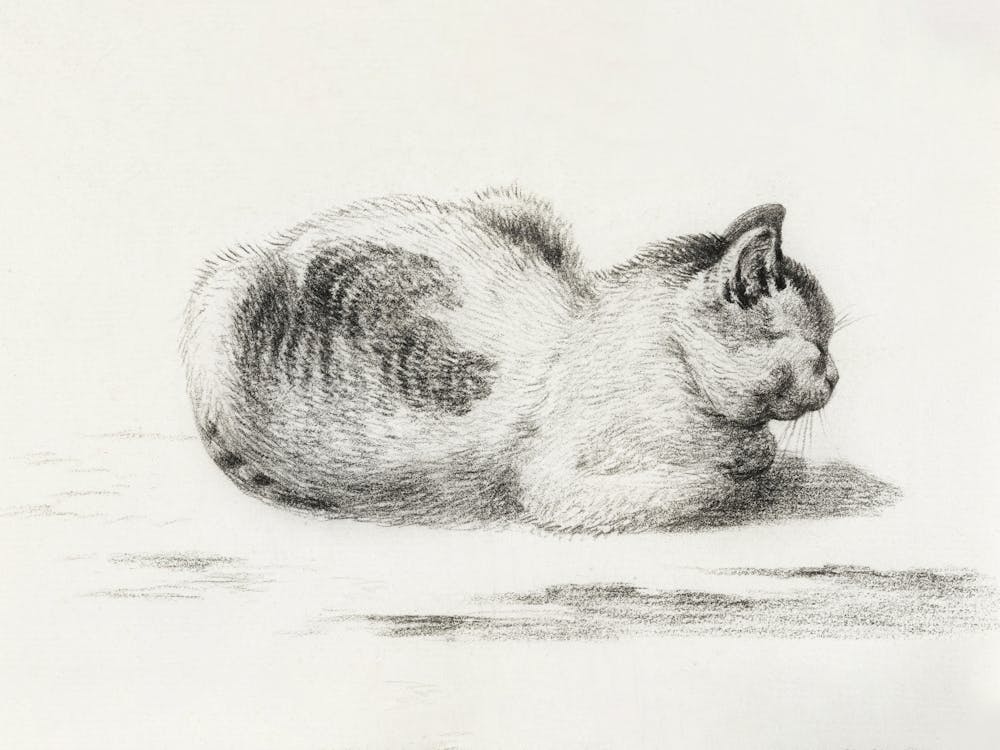 Reclining Cat, Jean Bernard