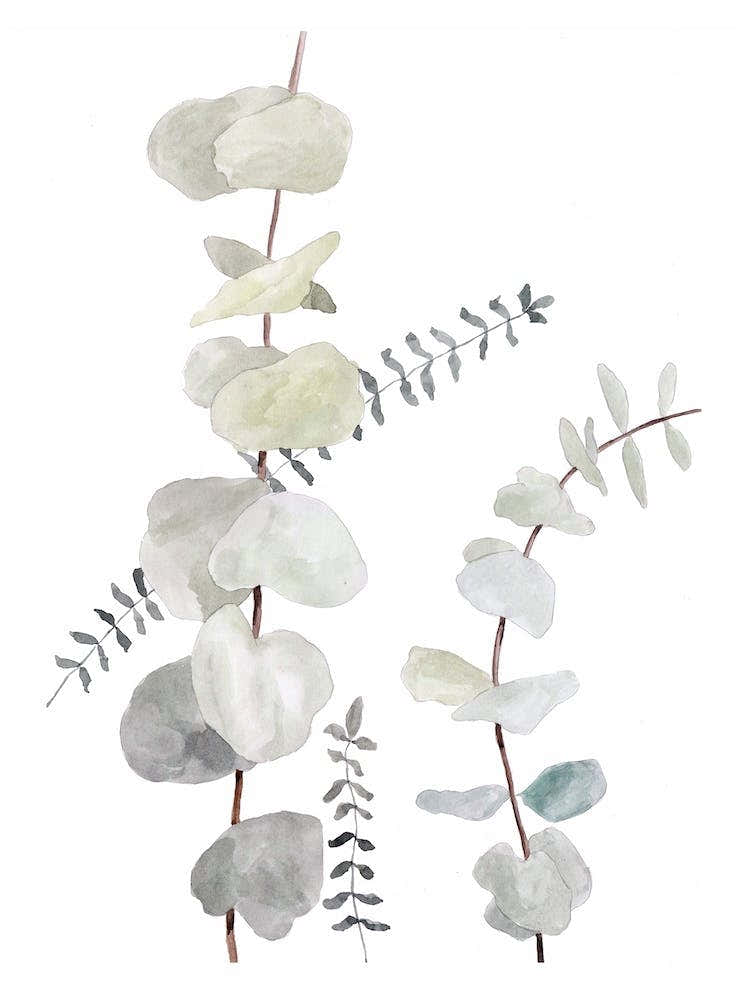Botanical Illustration Plant Mix1