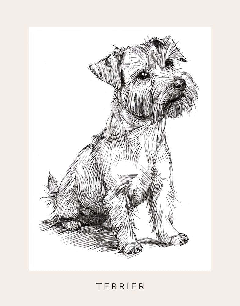 Cute Terrier Dog Line Art 2 Poster