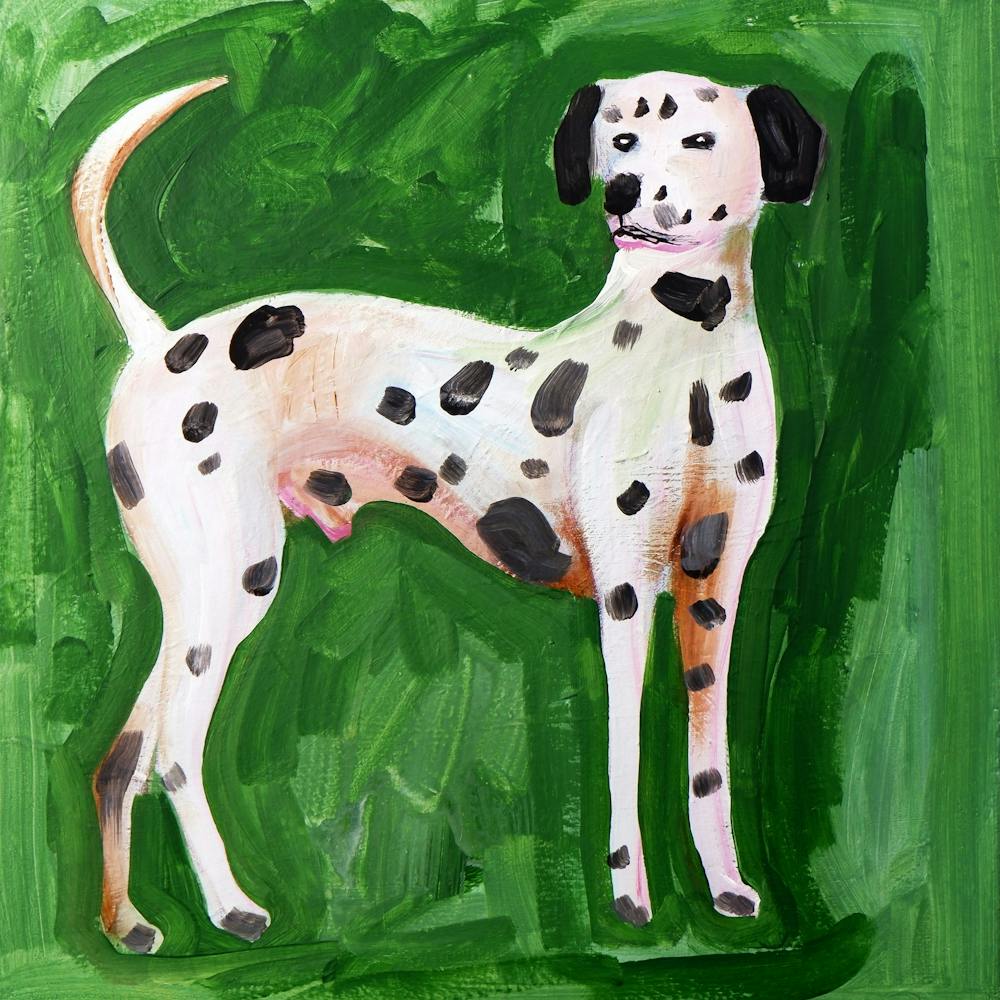 Dalmatian On Green - animal painting dog square pet living room bedroom kids room